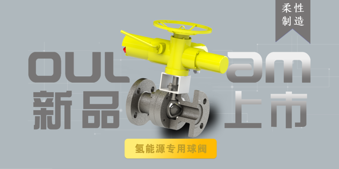 氫氣專(zhuān)用不銹鋼球閥圖