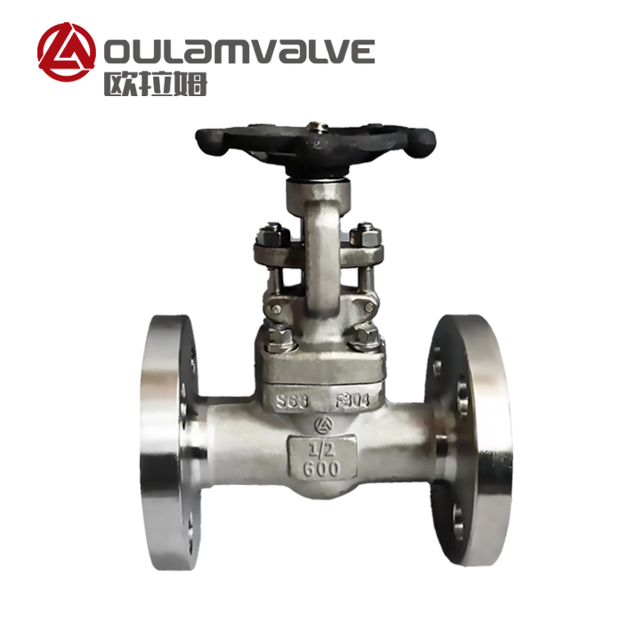 不銹鋼閘閥Z41W_加氫精制裝置_閘閥