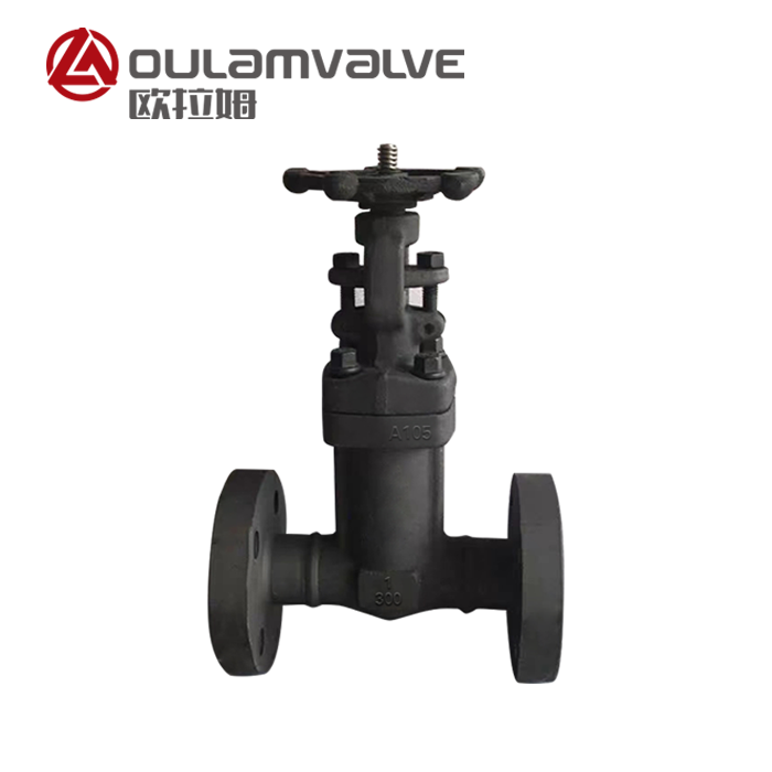 美標(biāo)波紋管閘閥wz41h